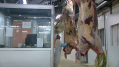 Agglo de Grenoble: 2 ans après un placement en redressement judiciaire, l'abattoir du Fontanil-Cornillon revit