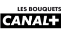 Bolloré n'exclut pas une faillite de Canal+