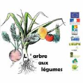 Gaillon : L’arbre aux légumes placé en liquidation judiciaire