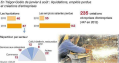 Trégor-Goëlo (22). Déjà 67 liquidations d'entreprise en 2013