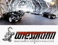 Wiesmann : Der Gecko ist nicht gut